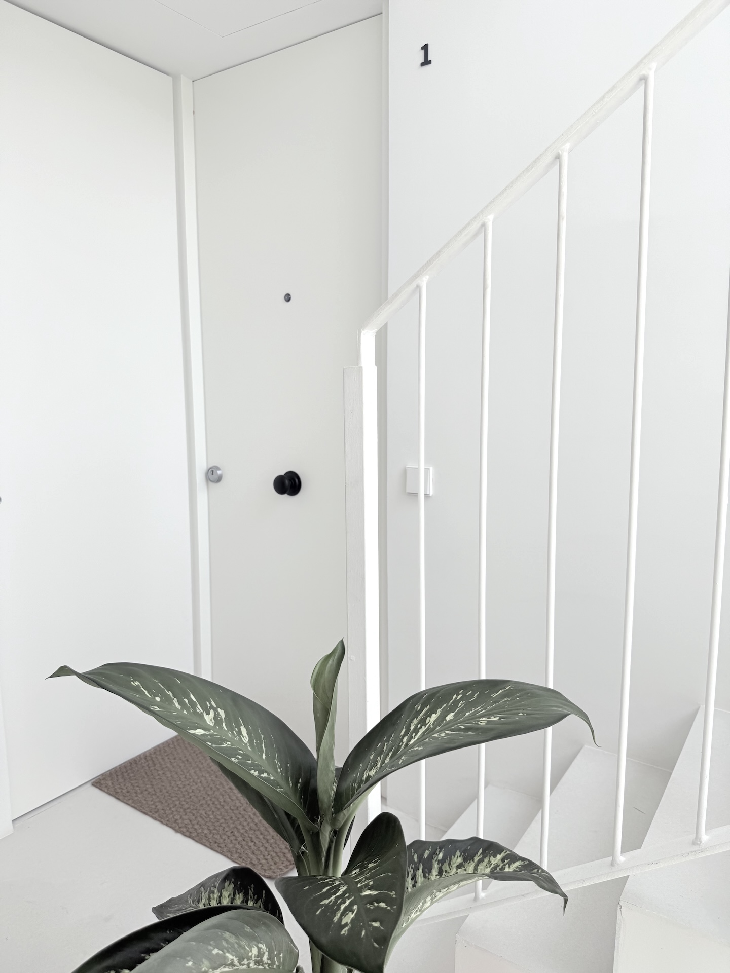 Resa Estates Ibiza longterm rent Talamanca penthouse entrance.jpeg